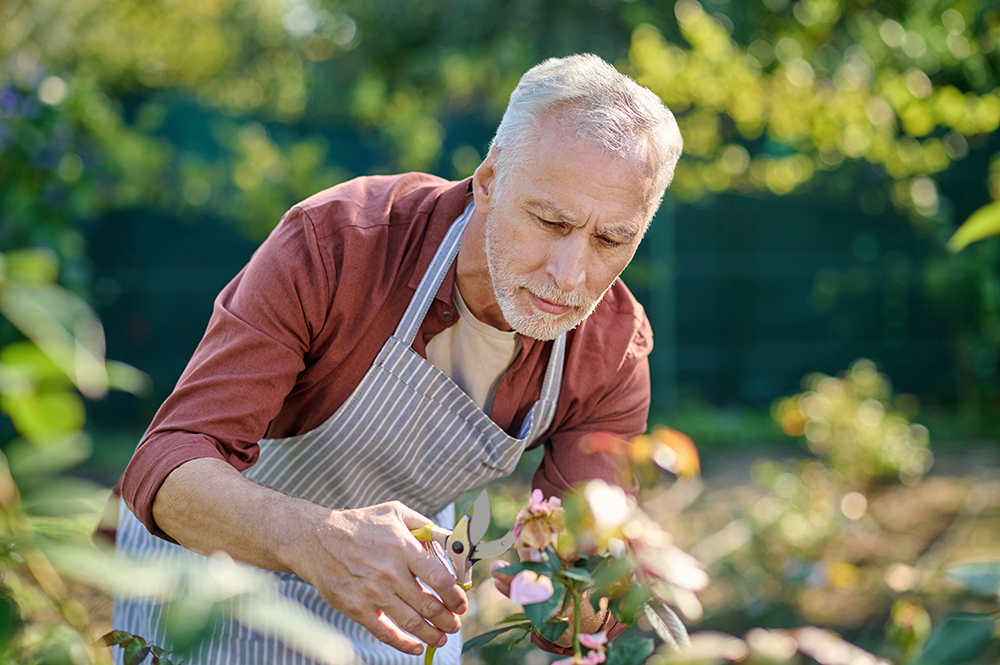 elderly healthy gardening