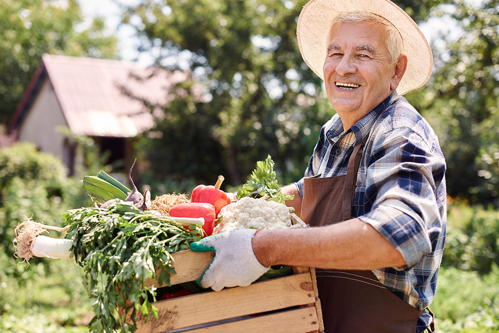 senior gardening healthy